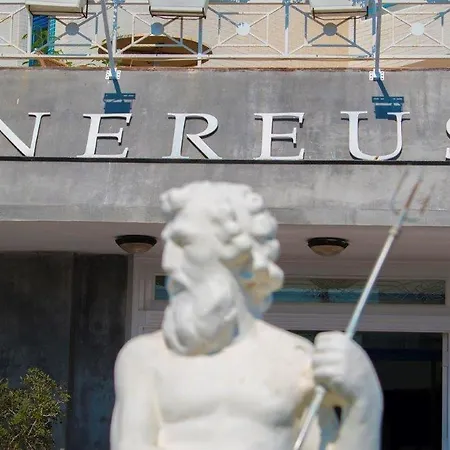 Nereus Paphos